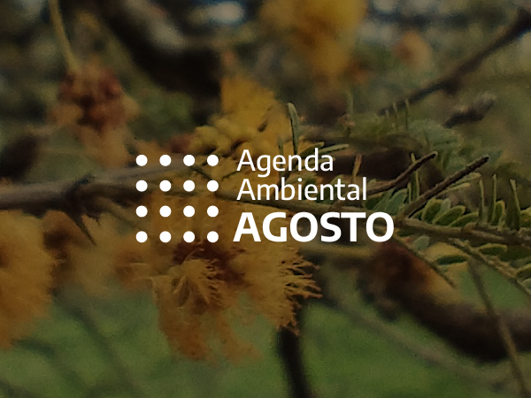 AMBIENTE. 