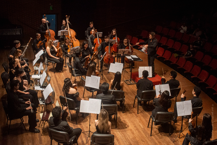El Instituto Cultural de la Provincia de Buenos Aires llama nuevamente a audiciones a ejecutantes de violín, violoncello, oboe, 