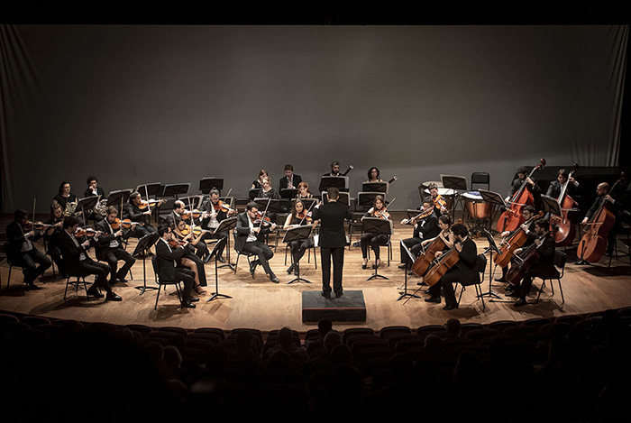 Camerata Académica del Teatro Argentino
