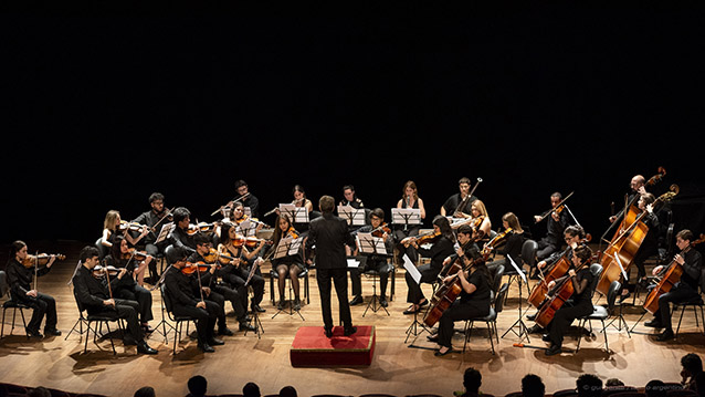 La Camerata Académica del Teatro Argentino ofrecerá un concierto el 25 de febrero