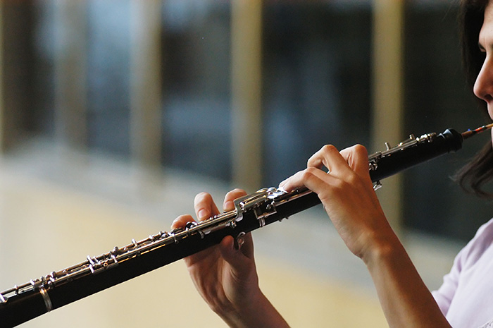 Audición para intérprete de corno inglés/oboe en el Teatro Argentino