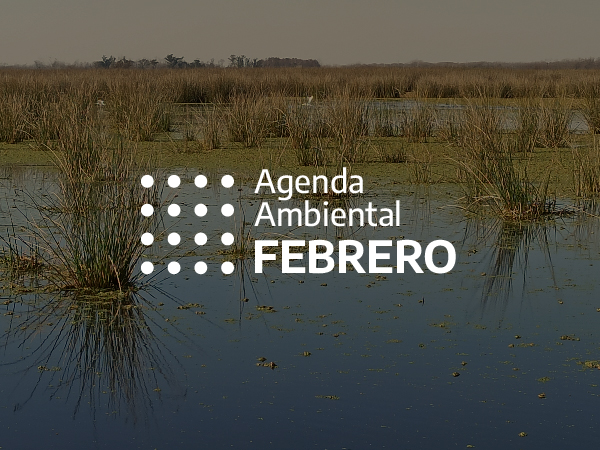 AMBIENTE. 