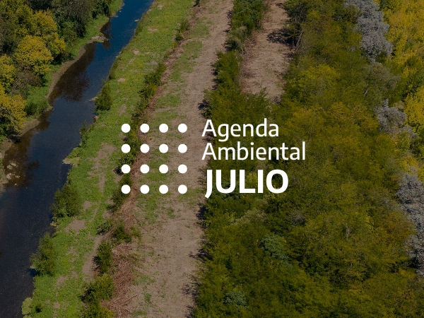 AMBIENTE. 