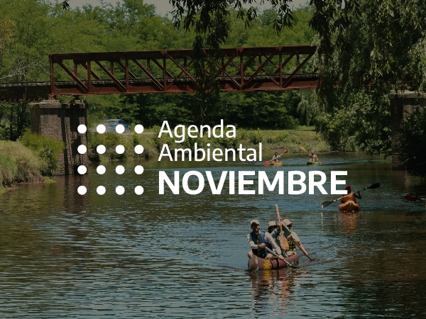 AMBIENTE. 