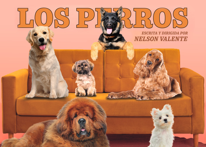 Los Perros