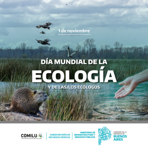 Día Mundial de la Ecología