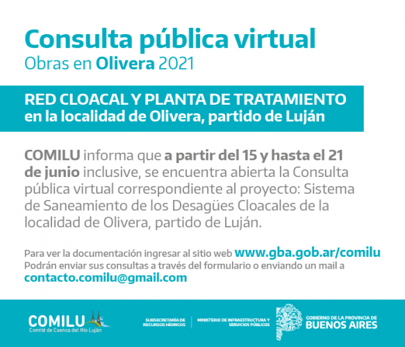 Consulta Pública Virtual