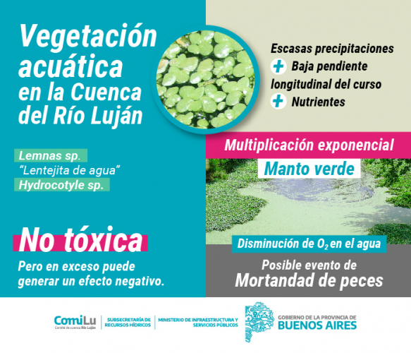 Vegetación Acuática