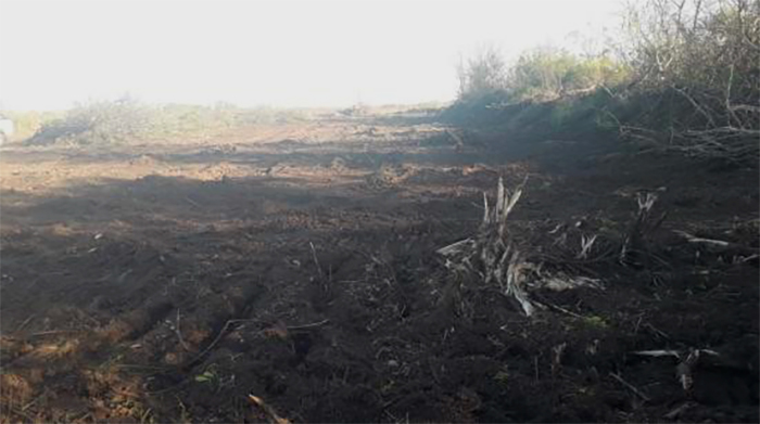 Adecuación del Cauce del Tramo medio del Río Luján