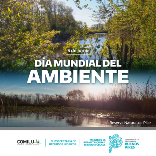 Día Mundial del Ambiente. 