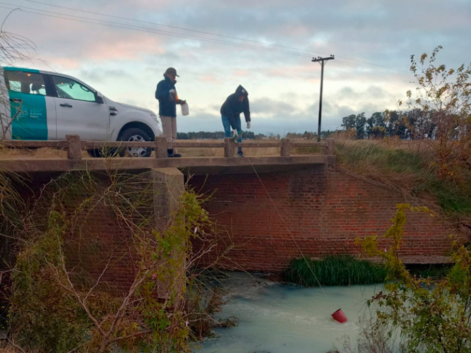 Muestreo en el Río Luján 