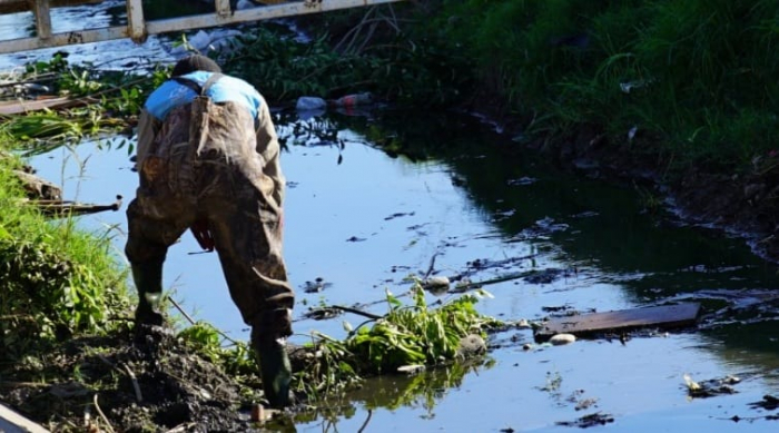 Gestión Ambiental 