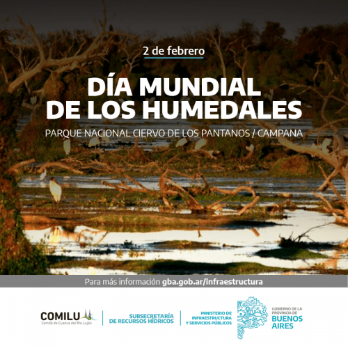 Día Mundial de los Humedales 