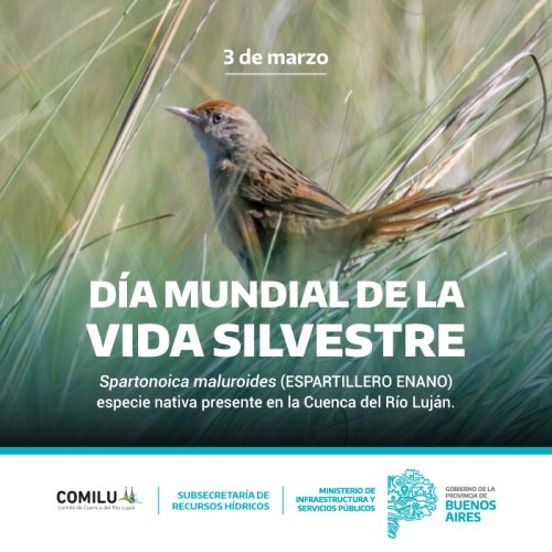 Desde el Comité de Cuenca del Río Luján nos sumamos visibilizando una de las especies presentes en la cuenca. 