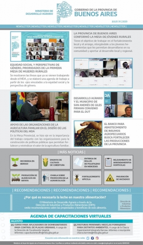 Newsletter 31/07/2020