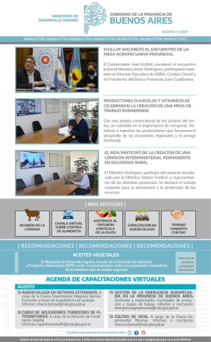 Newsletter MDA 07/08/2020