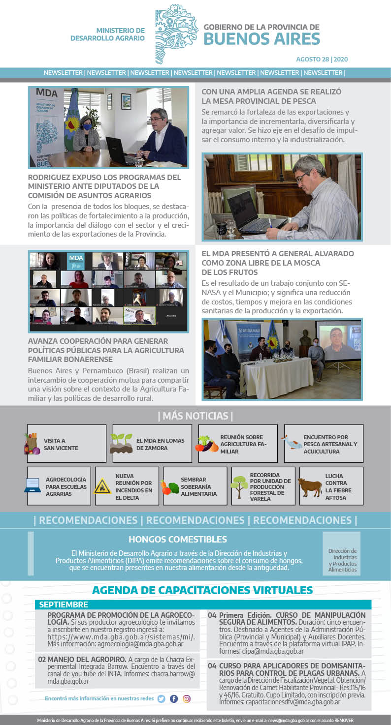Newsletter 28/08/2020