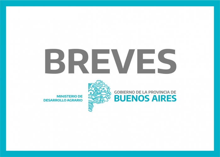 BREVES 09/03/2020