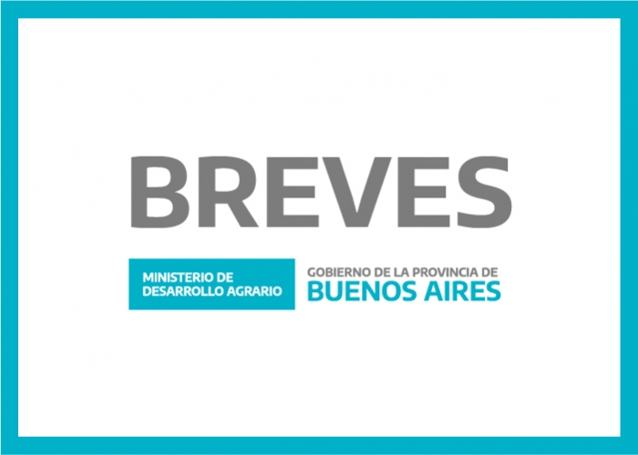 BREVES 07/02/2020