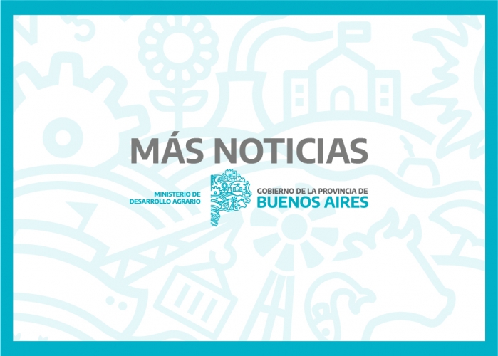 MAS NOTICIAS MDA 07/08/2020