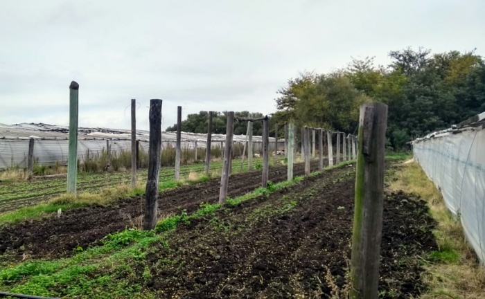 ENTREGA DE MATERIALES PARA AGRICULTORES FAMILIARES