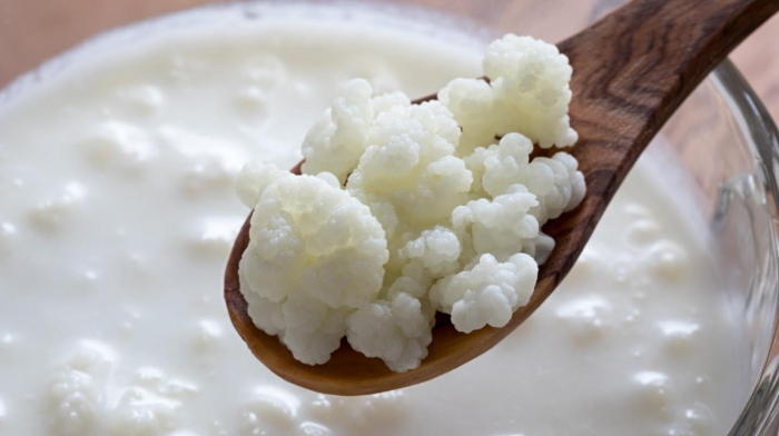 QUÉ ES EL KEFIR