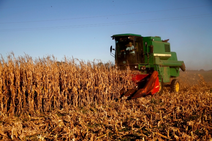 EL MDA EMITE RECOMENDACIONES PARA LA PRODUCCIÓN Y COMERCIALIZACIÓN AGROPECUARIA