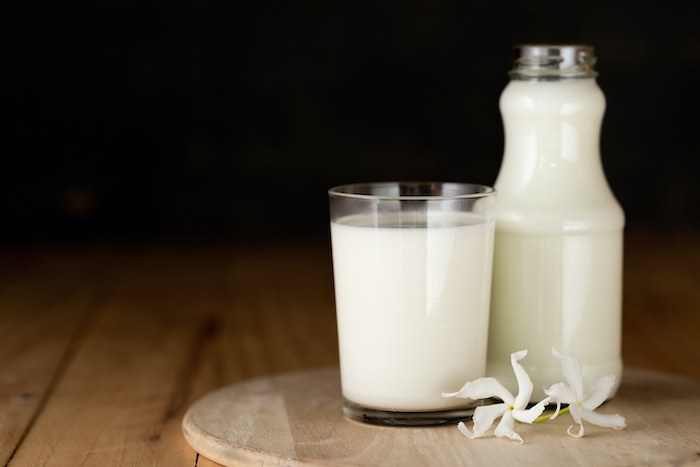 ¿Por qué es necesaria la leche en nuestra alimentación?