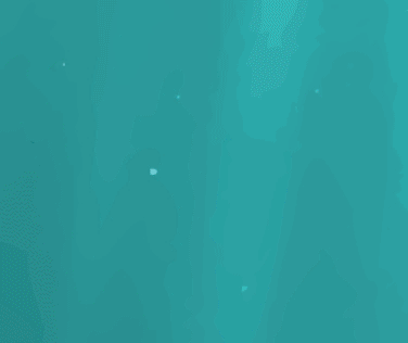 La Provincia inaugura “Vidas submarinas - Ciencia, arte y soberanía”