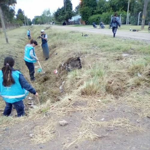 Limpieza de arroyos en Brandsen