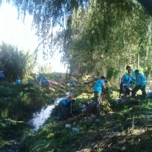 Limpieza de arroyos en Campana