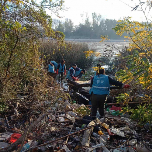 Limpieza de arroyos en Tigre