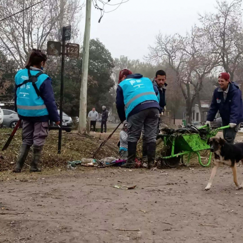 Limpieza de arroyos en La Plata