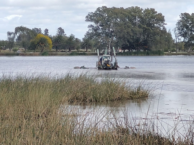 Dragado de Lagunas en Las Flores