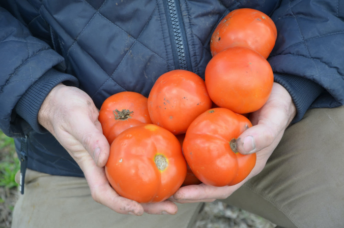 El MDA creó el Banco de Proyectos de Innovación Bonaerense de Alimentos