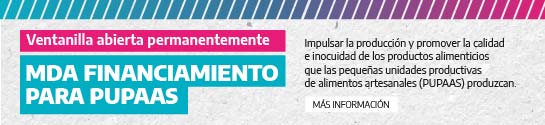 FINANCIAMIENTO PUPAAS
