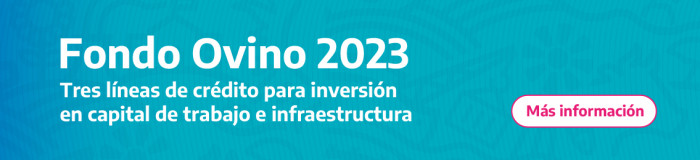 Fondo Ovino 2023