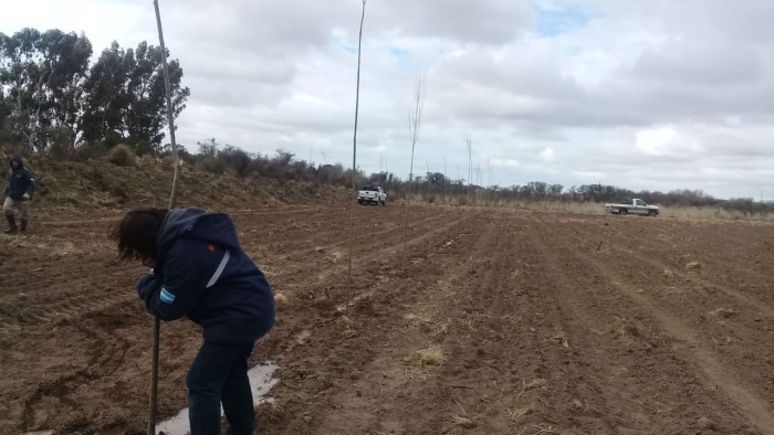 Aumentan los sistemas agroforestales en el valle patagónico de Buenos Aires