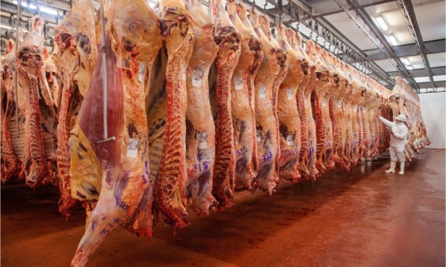 Carne: Buenos Aires concentra el 51% de la producción y genera un 55% récord en exportaciones