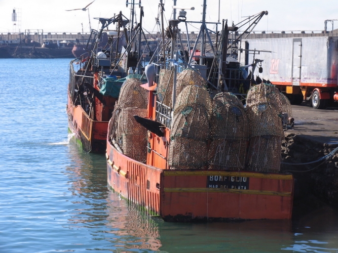 SE AMPLÍA EL PLAZO PARA LA CAMPAÑA DE PROSPECCIÓN DE CORVINA RUBIA