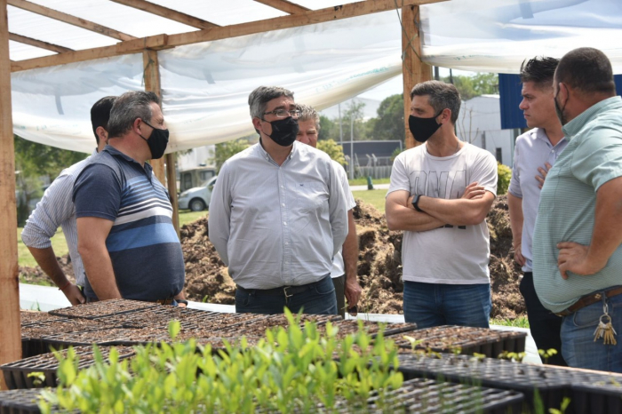 Impulso a la producción forestal de General Rodríguez