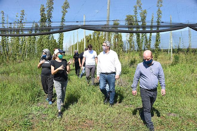 EL MINISTRO RODRÍGUEZ VISITÓ A PRODUCTORES DE LÚPULO Y DESTACÓ EL POTENCIAL DE LA ACTIVIDAD