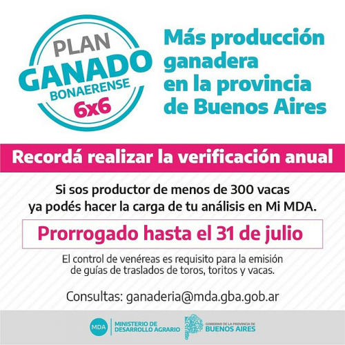 Se prorrogó el plazo para la adhesión al Plan de Erradicación de ETS en bovinos