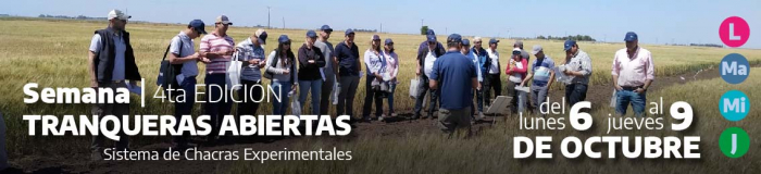 Tranqueras Abiertas