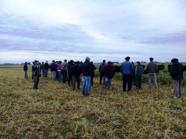 Realizamos una jornada sobre pariciones bovinas en Chascomús Llevamos a cabo una jornada sobre la asistencia en pariciones bovinas