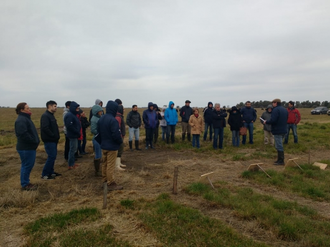 Jornada demostrativa a campo abierto