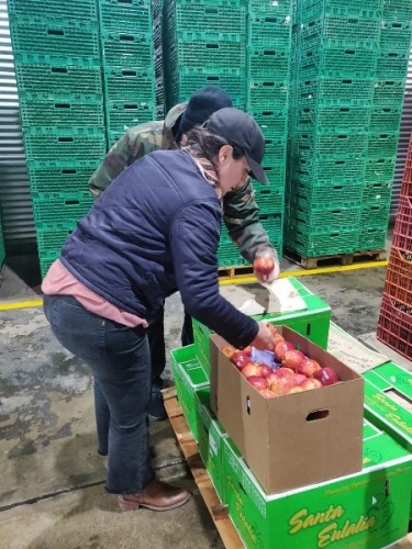 Más de 7.500 kilos de alimentos para comedores e instituciones benéficas