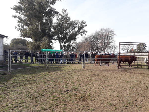 Jornada ganadera para productores en Carlos Casares