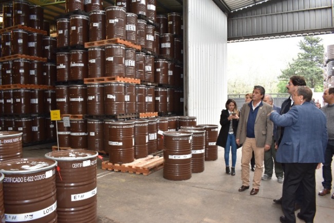 9 las industrias apícolas de la Provincia que podrán exportar miel a China