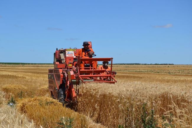 LAS ACTIVIDADES AGROPECUARIAS DEBERÁN TRAMITAR EL CUHC